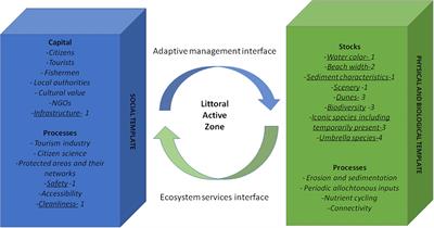 Social and Ecological Elements for a Perspective Approach to Citizen Science on the Beach